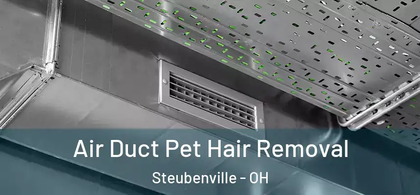  Air Duct Pet Hair Removal Steubenville - OH
