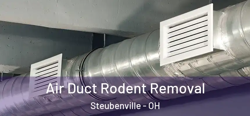  Air Duct Rodent Removal Steubenville - OH