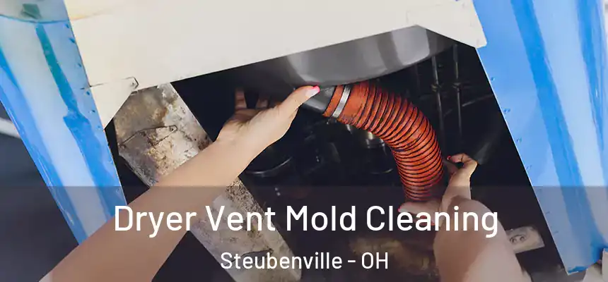  Dryer Vent Mold Cleaning Steubenville - OH