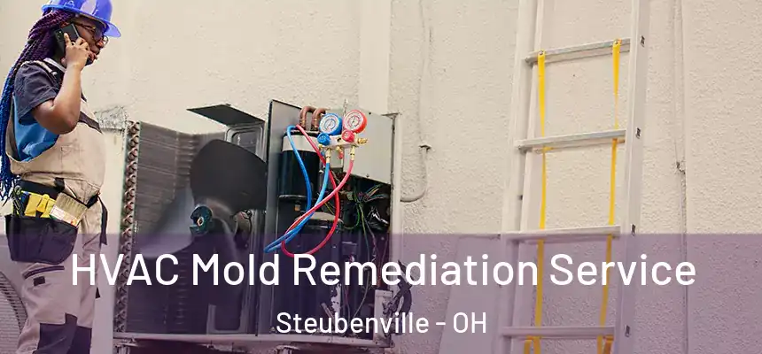  HVAC Mold Remediation Service Steubenville - OH