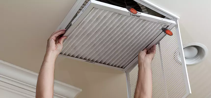 Preventive Cockroach-Proofing for Ducts in Steubenville