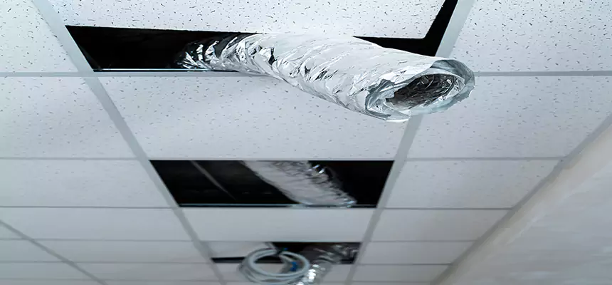 Affordable HVAC Sanitizing After Pest Removal in Steubenville