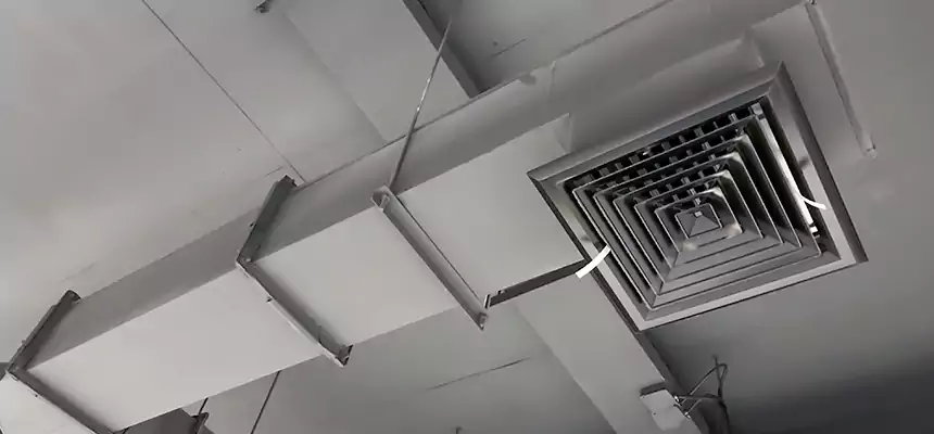 Our Rodent Droppings In Vents Services in Steubenville, OH