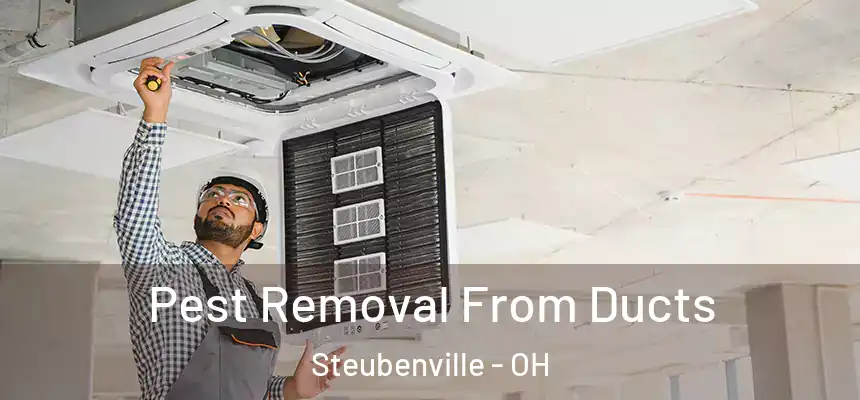  Pest Removal From Ducts Steubenville - OH