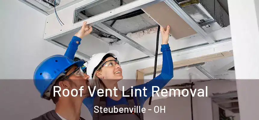  Roof Vent Lint Removal Steubenville - OH