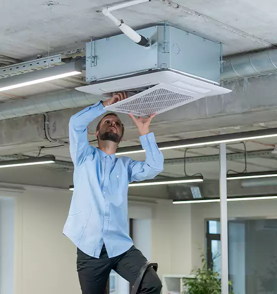 Advanced Rodent Droppings In Vents in Steubenville, OH