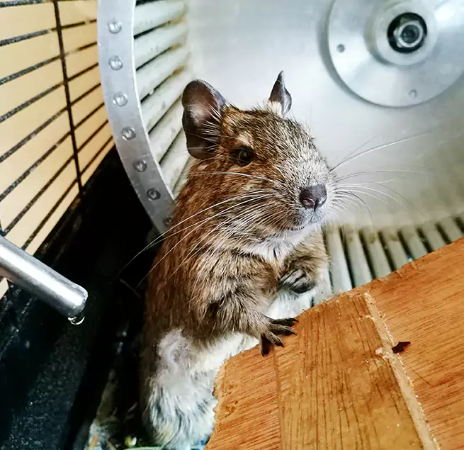 Why Homeowners & Businesses Trust Us Steubenville, OH?